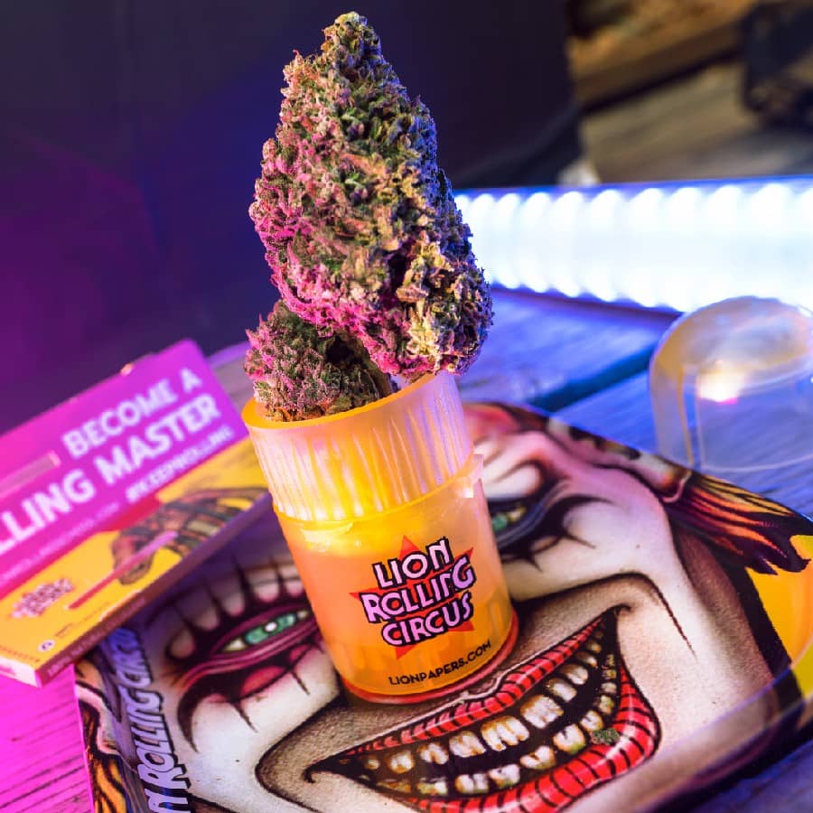 Tainers Lion Rolling Circus